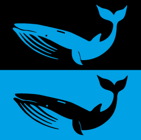クジラB<br />（2色）