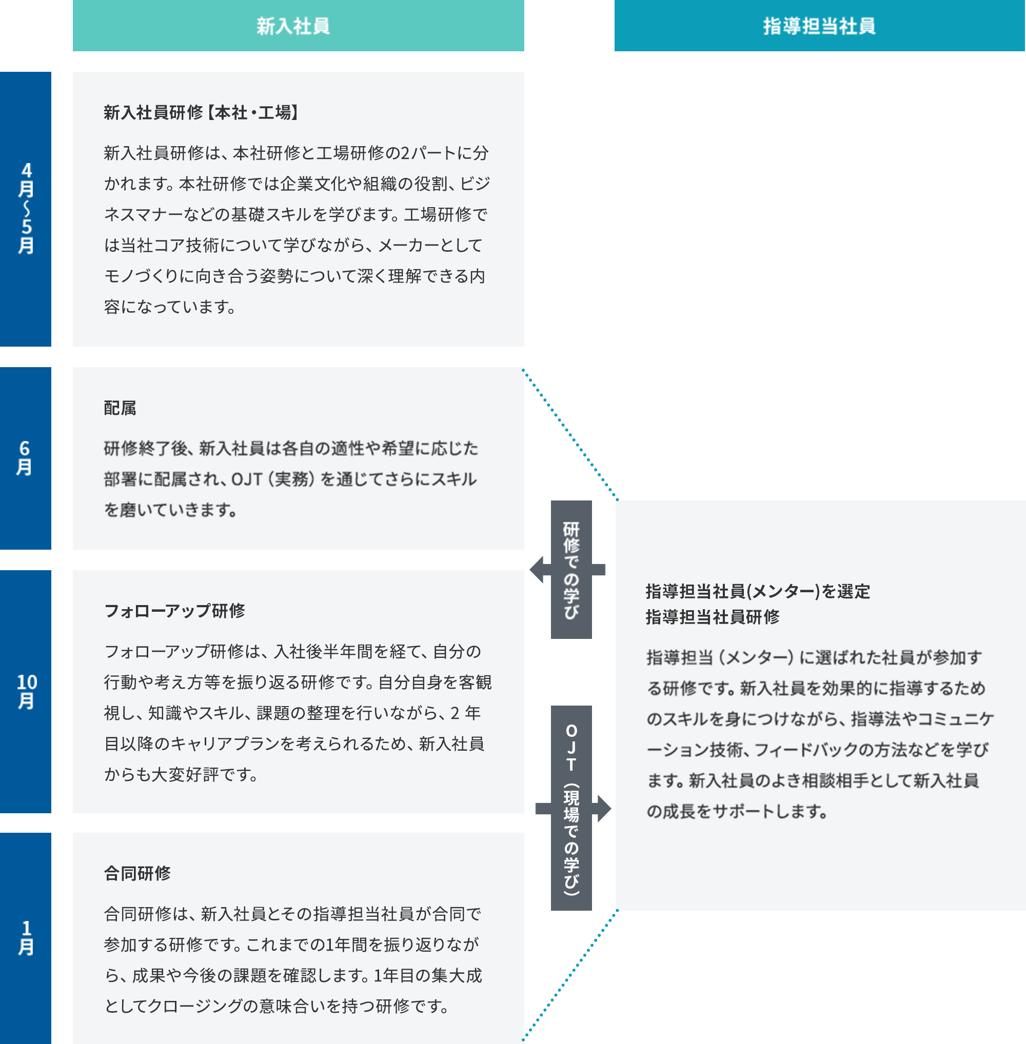 1年目の研修スケジュール