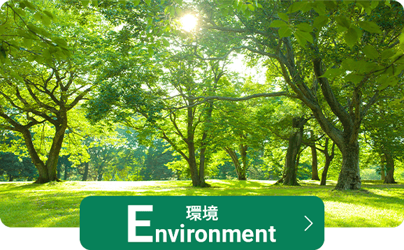 環境 Environment